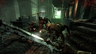 16. Warhammer: End Times - Vermintide Collector's Edition (PC) PL DIGITAL (klucz STEAM)