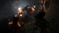 19. Warhammer: End Times - Vermintide (PC) PL DIGITAL (klucz STEAM)