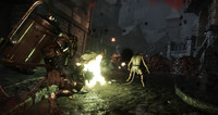 15. Warhammer: End Times - Vermintide (PC) PL DIGITAL (klucz STEAM)