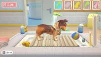 5. My Universe - Pet Clinic Cats & Dogs (PC) (klucz STEAM)