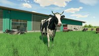 11. Farming Simulator 22 PL (PC) (klucz STEAM)