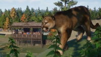 4. Planet Zoo: North America Animal Pack PL (DLC) (PC) (klucz STEAM)
