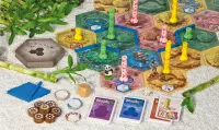 18. Takenoko