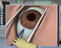 8. Surgery Simulator 2011 (PC) DIGITAL