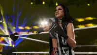 9. WWE 2K25 (XO/XSX)