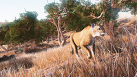 5. Hunting Simulator PL (klucz STEAM)