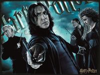 2. Harry Potter: Magiczne Puzzle - Słudzy Voldemorta (300 elementów)