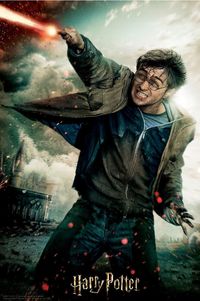 2. Harry Potter: Magiczne Puzzle - Księga - Pojedynek Harry'ego (300 elementów)