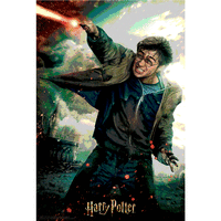 2. Harry Potter: Magiczne Puzzle - Pojedynek Harry'ego (300 elementów)