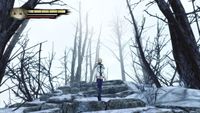 8. ANIMA: Gate of Memories (PC) DIGITAL (klucz STEAM)