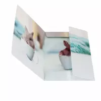 1. Starpak Teczka z Gumką Króliczek 559727