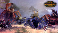 3. Total War: WARHAMMER II - Curse of the Vampire Coast DLC (PC) PL DIGITAL (klucz STEAM)