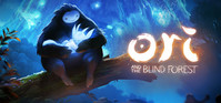 1. Ori and the Blind Forest (PC) (klucz STEAM)