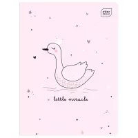 1. Interdruk Zeszyt A5 16 kartek kolorowa 3linia UV Piccolo 366467