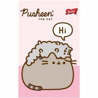 4. St. Majewski Zestaw Upominkowy Pusheen Mint 674877