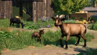 8. Planet Zoo: Barnyard Animal Pack PL (DLC) (PC) (klucz STEAM)