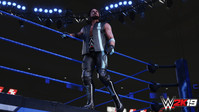 3. WWE 2K19 Season Pass DLC (PC) DIGITAL (klucz STEAM)