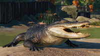 10. Planet Zoo: North America Animal Pack PL (DLC) (PC) (klucz STEAM)