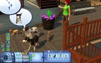 1. The Sims 3: Zwierzaki (PC) (klucz ORIGIN)