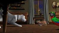 2. The Sims 3: Zwierzaki (PC) (klucz ORIGIN)