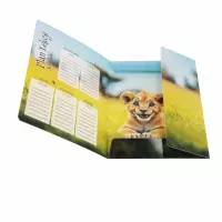 3. Starpak Teczka z Gumką Wild Animals 559729