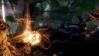 1. Aliens vs. Predator Collection (PC) DIGITAL (klucz STEAM)