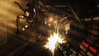 3. Aliens vs. Predator (PC) DIGITAL (klucz STEAM)