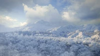 2. theHunter: Call of the Wild - Medved-Taiga PL (DLC) (PC) (klucz STEAM)
