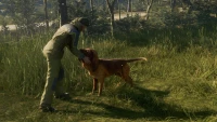 3. theHunter: Call of the Wild™ - Bloodhound PL (DLC) (PC) (klucz STEAM)