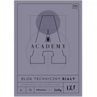 1. Interdruk Academy Blok Techniczny A4 10 kartek 240g 331724
