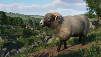 2. Planet Zoo: Barnyard Animal Pack PL (DLC) (PC) (klucz STEAM)