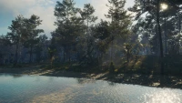 2. theHunter: Call of the Wild™ - Te Awaroa National Park PL (DLC) (PC) (klucz STEAM)