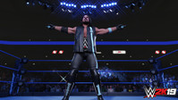 1. WWE 2K19 Accelerator (PC) DIGITAL (klucz STEAM)