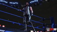 3. WWE 2K19 Accelerator (PC) DIGITAL (klucz STEAM)