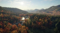 8. theHunter: Call of the Wild™ - New England Mountains PL (DLC) (PC) (klucz STEAM)