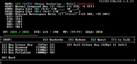 4. SanctuaryRPG: Black Edition (PC) DIGITAL (klucz STEAM)