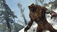 8. Guild Wars 2 Heroic Edition (PC) DIGITAL (Klucz do aktywacji online)