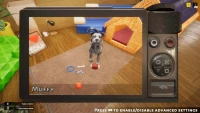 6. Animal Shelter PL (PC) (klucz STEAM)