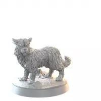 2. Thorgal: Promo Box