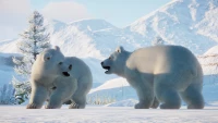 6. Planet Zoo: Arctic Pack PL (DLC) (PC) (klucz STEAM)