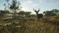 3. theHunter: Call of the Wild™ - Emerald Coast Australia (DLC) (PC) (klucz STEAM)