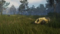 4. theHunter: Call of the Wild™ - Te Awaroa National Park PL (DLC) (PC) (klucz STEAM)