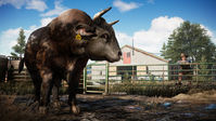 2. Far Cry 5: The Father Edycja Kolekcjonerska (Xbox One)