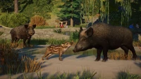 4. Planet Zoo: Eurasia Animal Pack PL (DLC) (PC) (klucz STEAM)