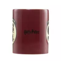 5. Harry Potter Zestaw Prezentowy (Peron 9 3/4): Kubek + Skarpetki