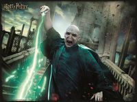 2. Harry Potter: Magiczne Puzzle - Voldemort (300 elementów)