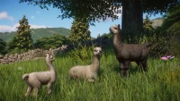 9. Planet Zoo: Barnyard Animal Pack PL (DLC) (PC) (klucz STEAM)