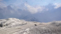 10. theHunter: Call of the Wild™ - Sundarpatan Nepal Hunting Reserve PL (DLC) (PC) (klucz STEAM)