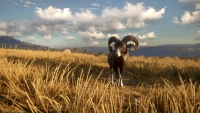 5. theHunter: Call of the Wild™ - Cuatro Colinas Game Reserve PL (DLC) (PC) (klucz STEAM)