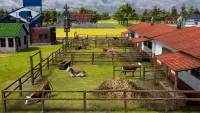 6. Farm Manager 2021 PL (PC) (klucz STEAM)